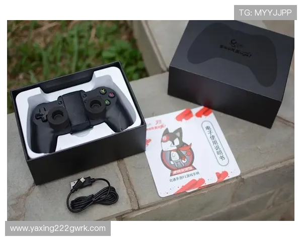 亚星游戏入口网址最新版本上线，全面优化提升玩家游戏体验与安全保障