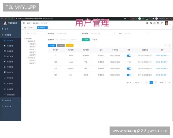 亚星管理平台正网用户权限设置与管理技巧