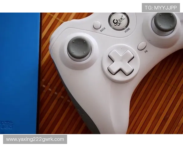 亚星yaxin222直接登录方法详解帮助玩家快速进入游戏体验最佳状态