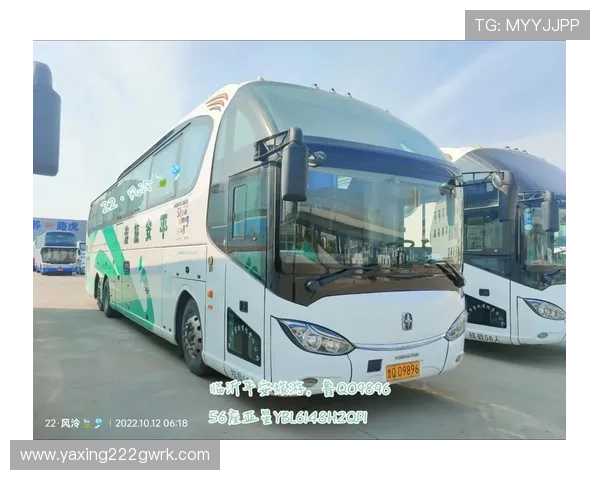 亚星YBL6148H2QP2客车公告发布,提供车辆购买、使用及售后服务全方位信息 亚星YBL6148H2QP2客车公告发布,提供车辆购买、使用及售后服务全方位信息