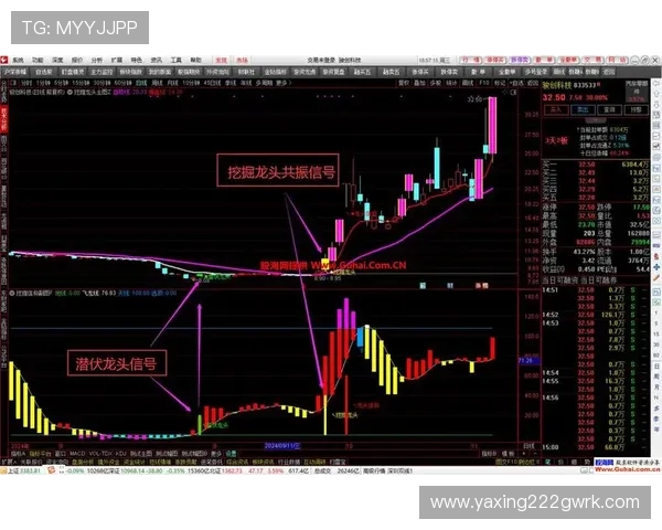 亚星娱乐有限公司如何通过多元化运营实现持续盈利与品牌扩展