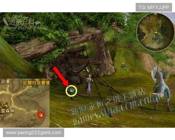 亚星游戏注册流程详解帮助新手玩家快速完成账号注册与登录指南